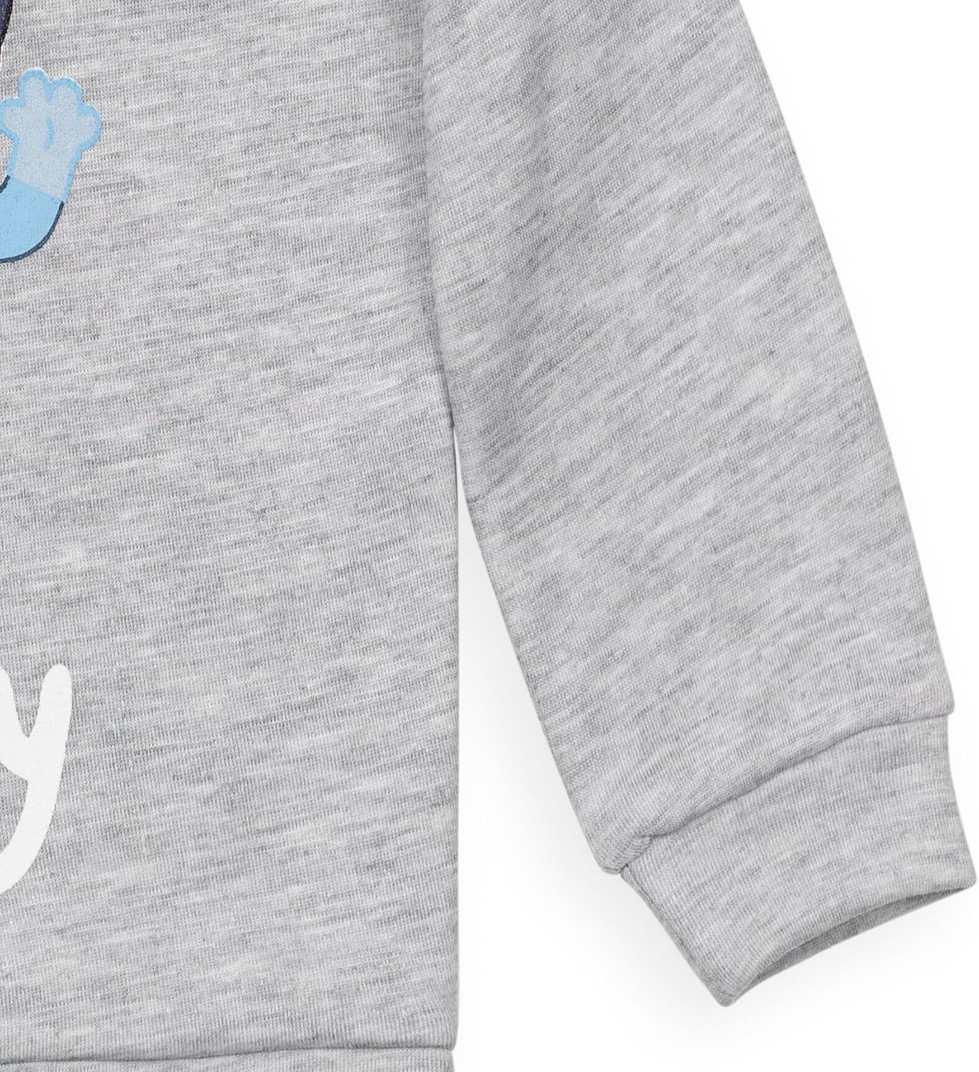Bluey Fleece Pullover Hoodie and Pants Outfit Set Toddler to Little Kid Sizes (2T - 7-8)